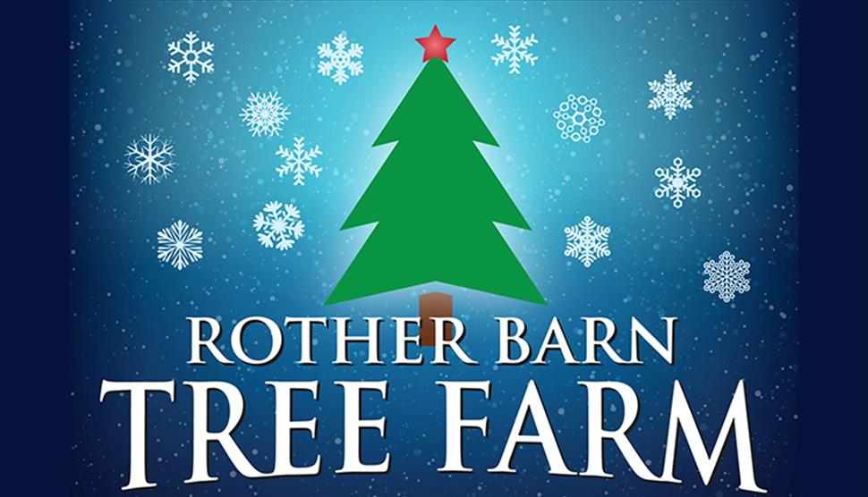 Rother Barn Tree Farm
