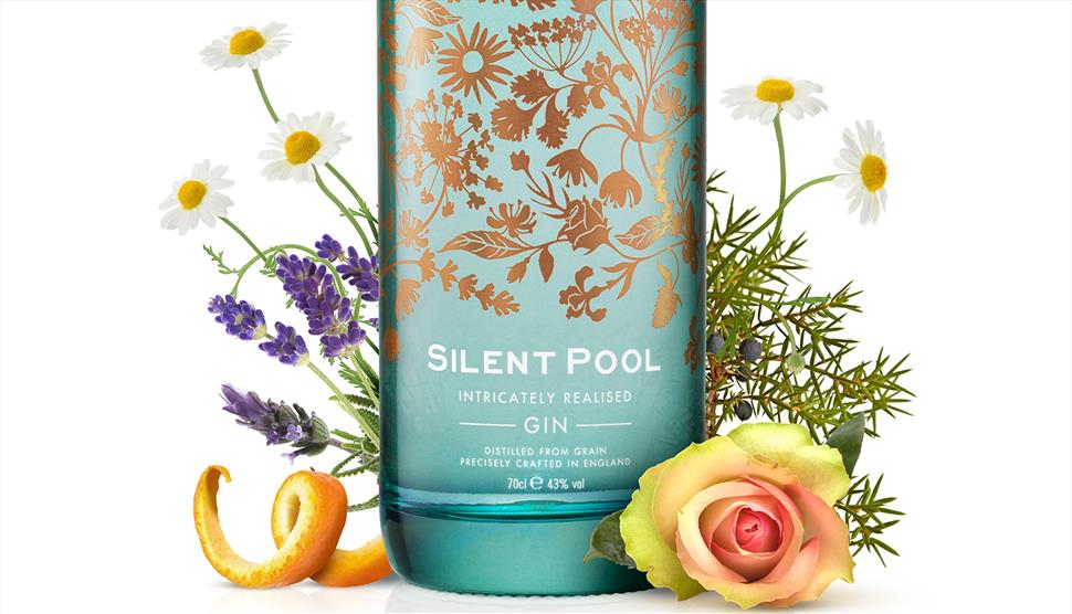 Silent Pool: Intricately Distilled Gin Talk at Fleet Library