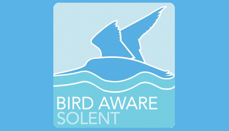 Be Bird Aware at the Beach Clean at Eling Tide Mill Experience