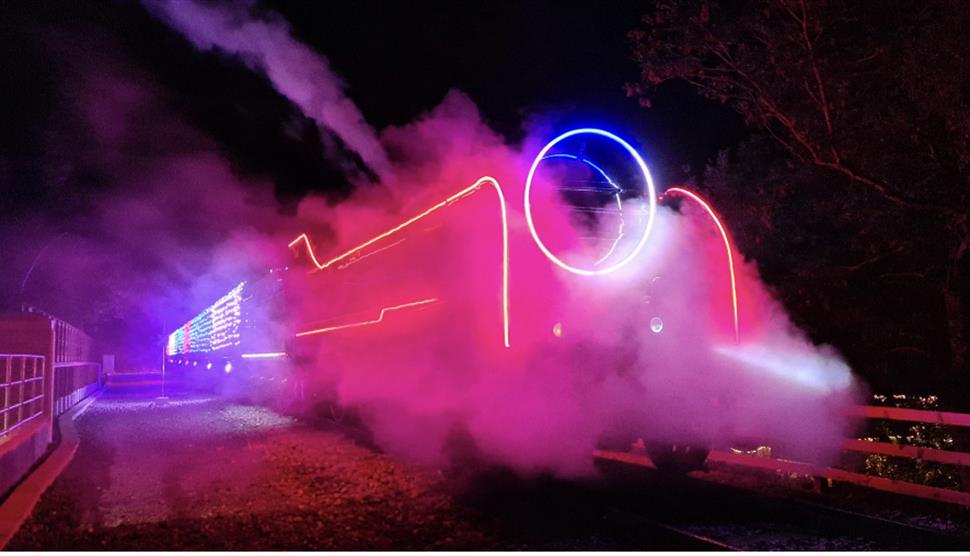 Steam Illuminations at Mid Hants Railway 'Watercress Line'