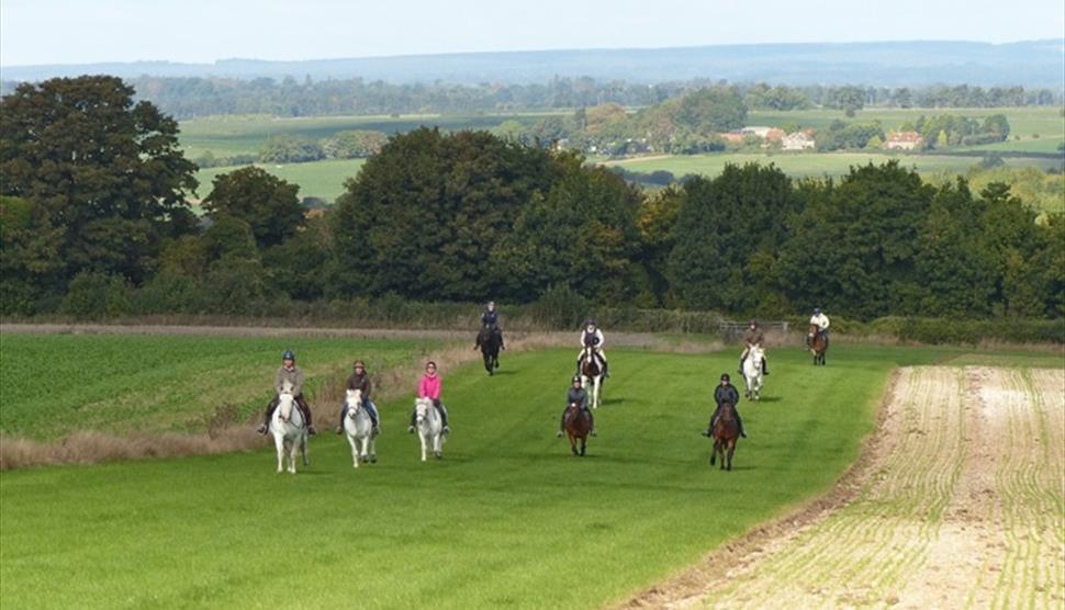 Stockbridge Riding School