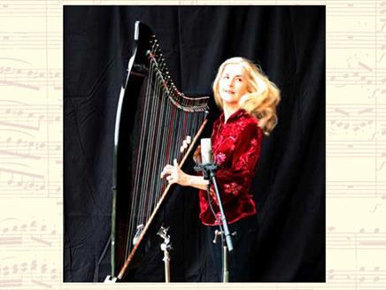Sarah Deere-Jones Harp and Phil Williams Guitar at Stockbridge Town Hall