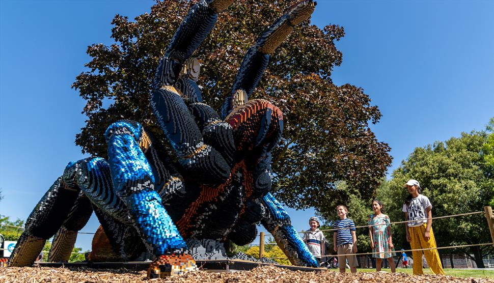 SUPERSIZED! Brick Adventure at Marwell Zoo