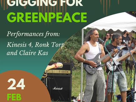 Gigging for Greenpeace at The Art House