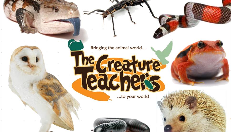 Visit The Creature Teachers at Sky Park Farm