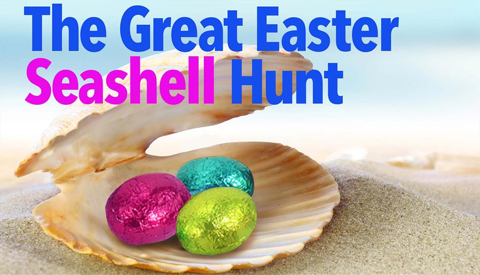The Great Easter Seashell Hunt at The Diving Museum