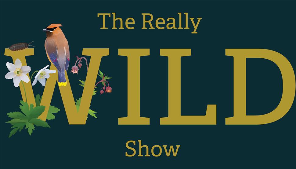 The Really Wild Show at Nuffield Southampton Theatres Campus