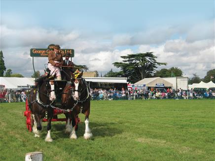 The Romsey Show