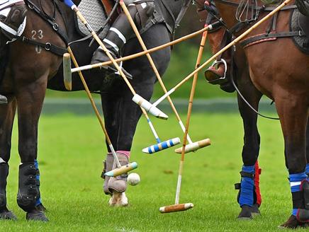 New Forest Polo Club - Dunlop Cup at The Showground, Brockenhurst