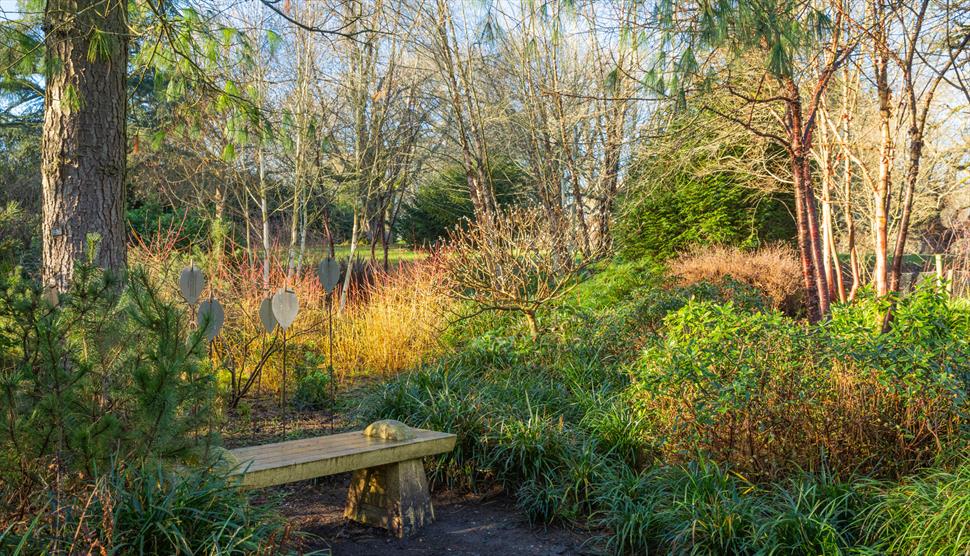 Mottisfont Family Walk