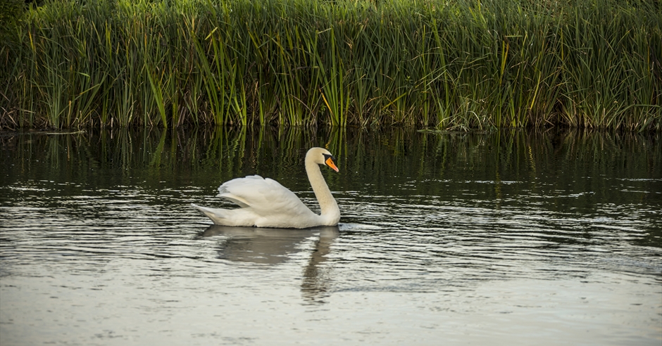 The Test Way Walk - Visit Hampshire
