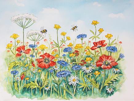 A Wildflower Summer: Watercolour Workshop at Gilbert White's House & Gardens