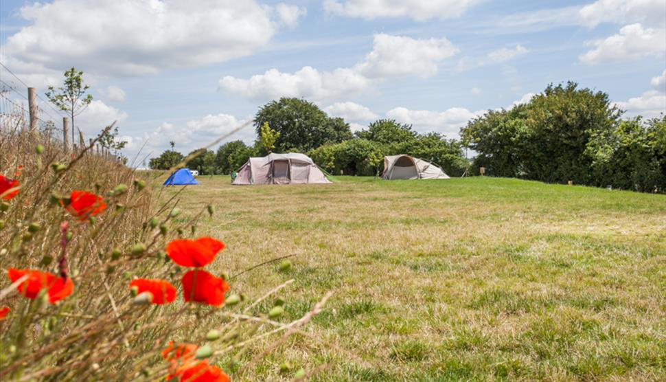 Watercress Campsite