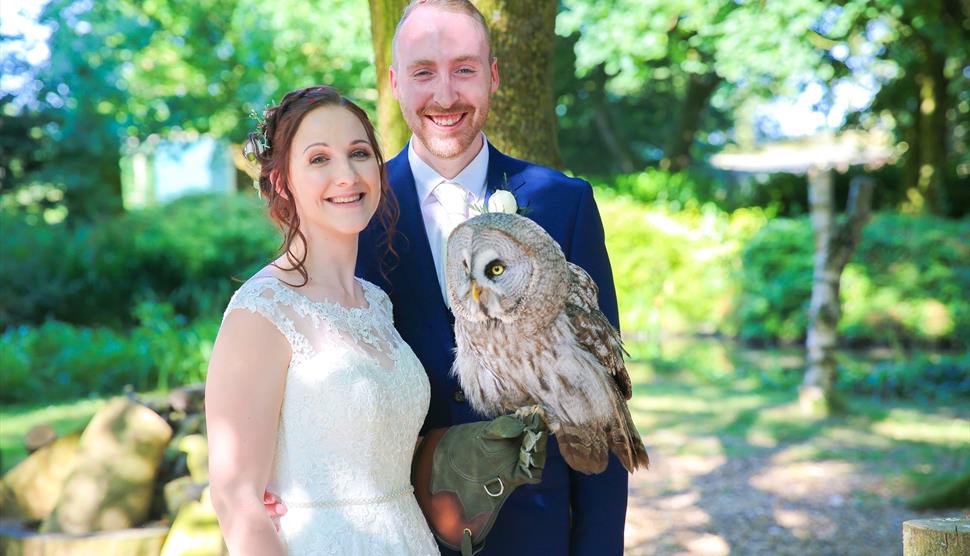 Wedding Open Weekend at Hawk Conservancy Trust