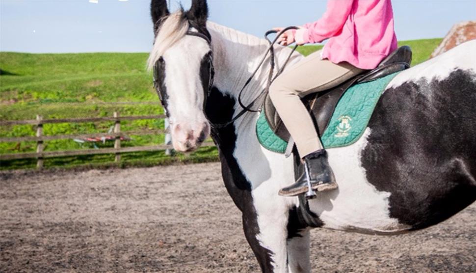 Peter Ashley Activity Centres - Fort Widley, Equestrian Centre