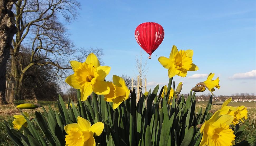 Wonderdays: Hot Air Balloon Rides over Hampshire