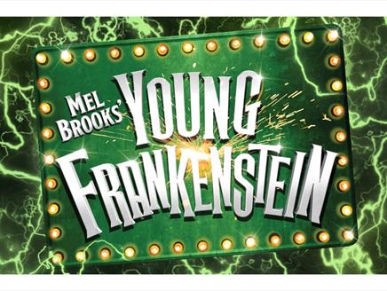 Illustration showing Young Frankenstein logo