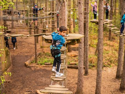 Go Ape at Moors Valley