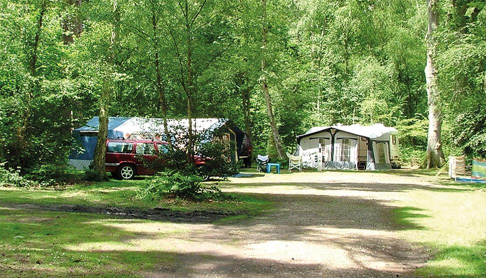 Wellington Country Park - Caravan & Campsite