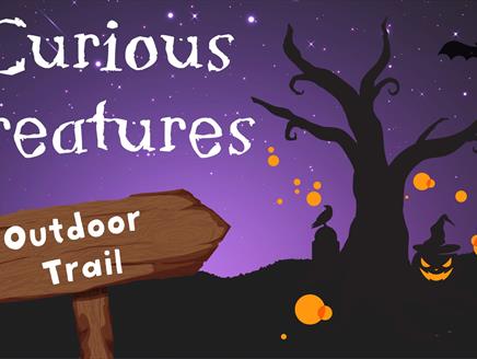 Curious Creatures Halloween Trail at Queen Elizabeth Country Park
