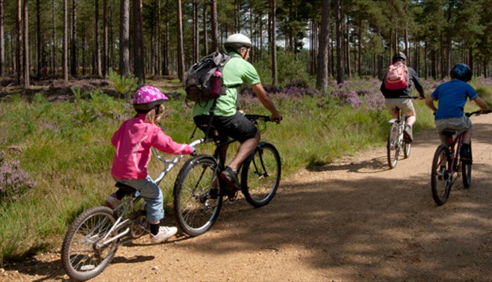 Mountain Biking at Alice Holt Forest