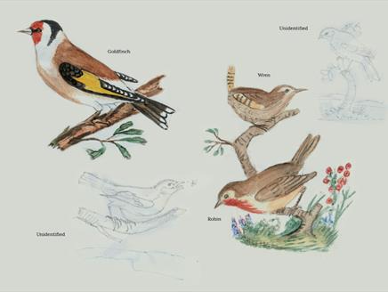 Albatross, Penguin & Goldfinch – Learn To Draw A Bird! At Gilbert White's House & Gardens
