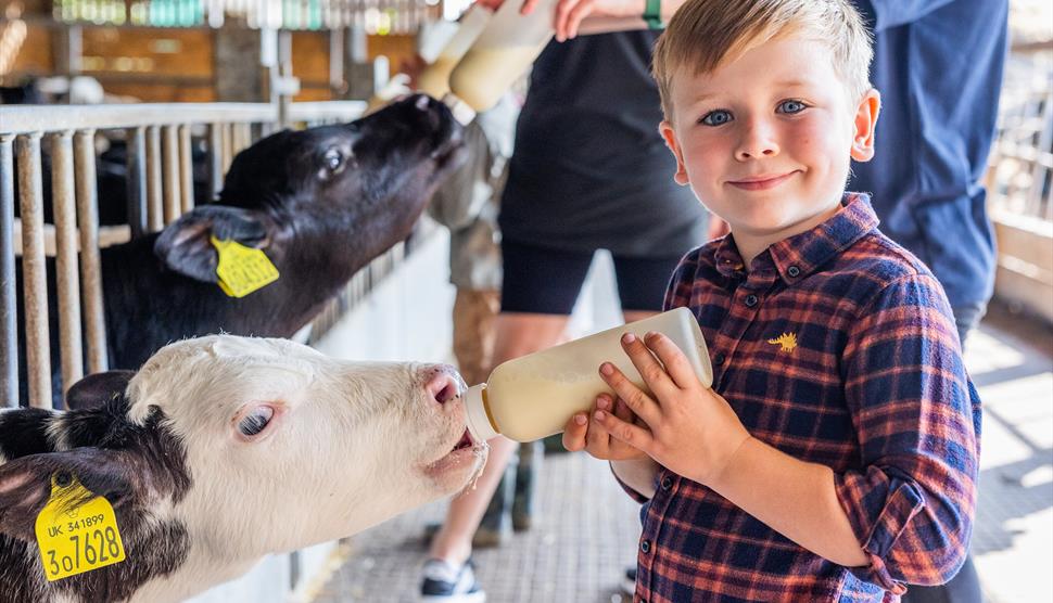 Longdown Activity Farm