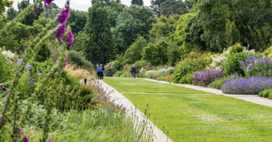 Perennial Borders at Sir Harold Hillier Gardens