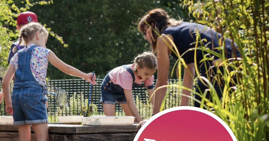 Pond Dipping Summer 2026 at Sir Harold Hillier Gardens