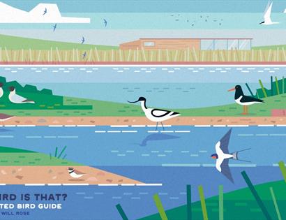 Fun Family Bird Workshop