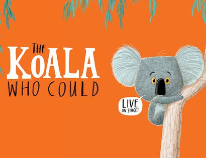 The Koala who could