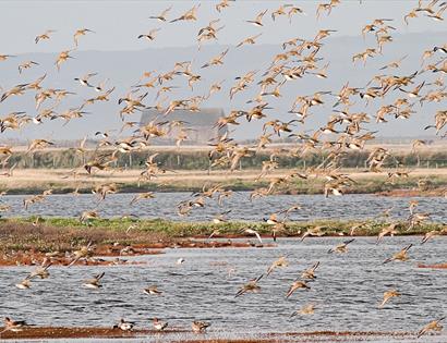 World Wetlands Day Walk 2