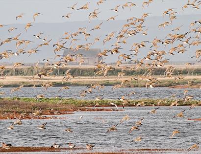 World Wetlands Day Walk 2