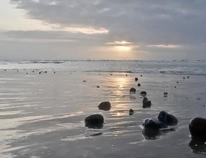 Reflections with Jane Lovell