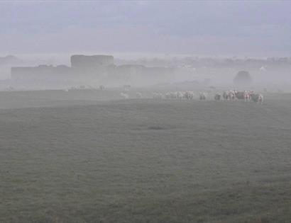 A picture of fields in mist with Camber Castle in the distance.