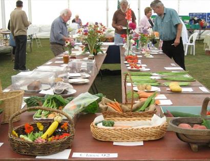 Catsfield Village Flower Show and Fete