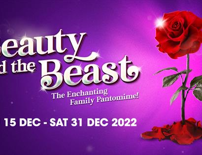 Poster for the pantomime Beauty and the Beast - red rose on purple background