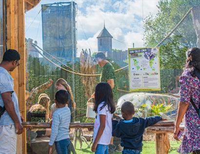 Back to School at Knockhatch Adventure Park, with families viewing animals at the lemur enclosure.