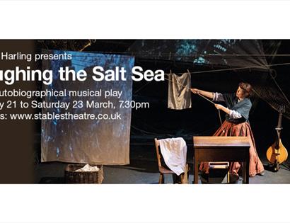 Poster for Ploughing the Salt Sea.