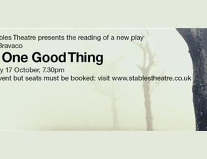 Poster for the one good thing