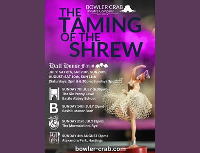 Taming of the Shrew poster