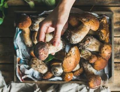 Wild mushrooms being prepared