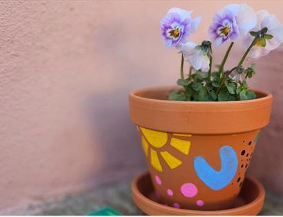 Homemade terracotta plant pot