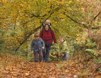 Autumn Colours and Forest Art, October Half Term family fun