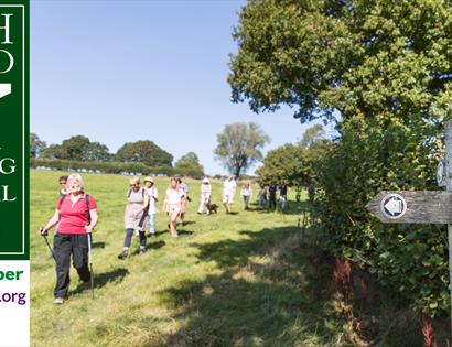 group walking in a field