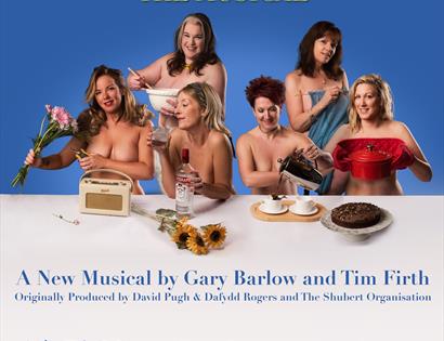 poster for calendar girls