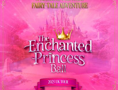 The Enchanted Princess Ball