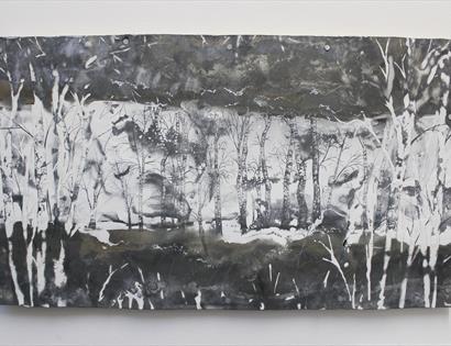 'Nature Refocused' Art Exhibition