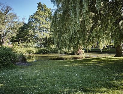 Alexandra park