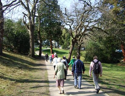 Health Walk